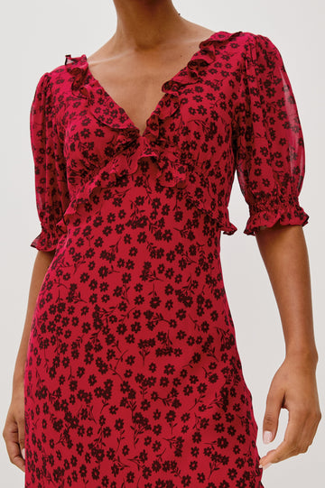 ANNMARIE DRESS - CARMINE DAISIES