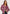 Women's Plaids