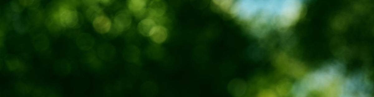 Blurred green foliage with a natural outdoor setting